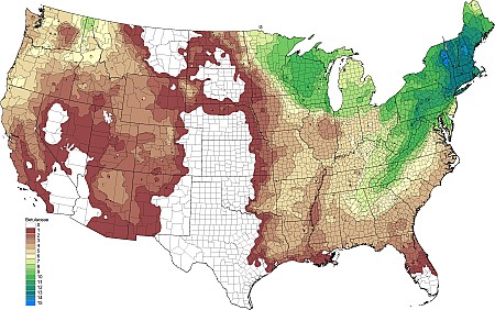 2tax56_Betulaceae.png 2tax56_Betulaceae.png